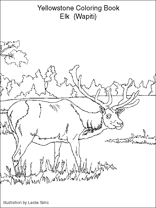earhquakes kdg coloring pages - photo #36